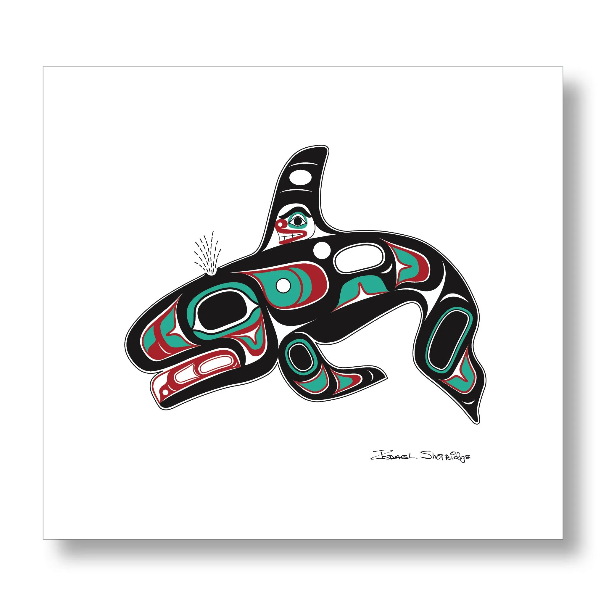 Killer Whale - Limited Edition XL Art Print