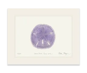 Purple Sand Dollar Print